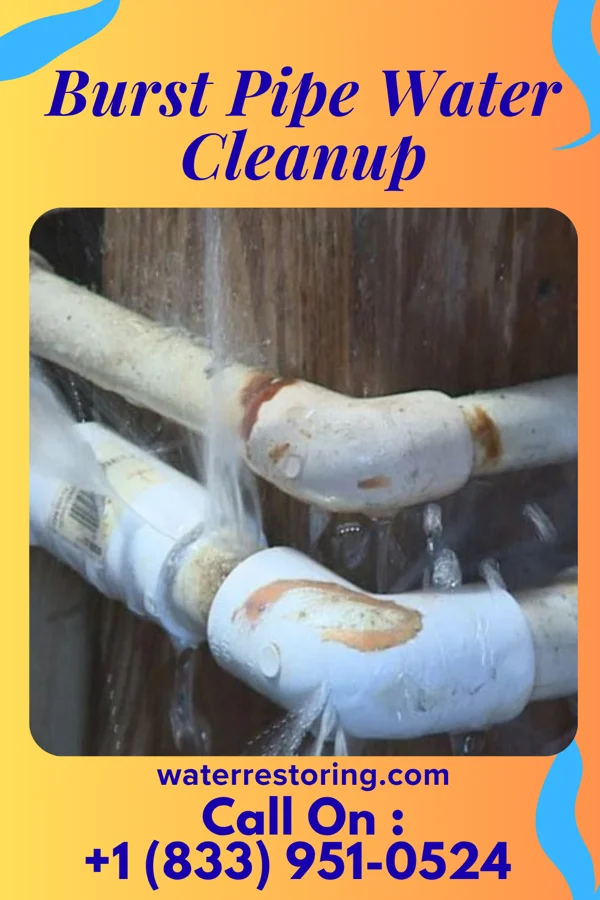 Burst Pipe Water Cleanup in Iberia, MO