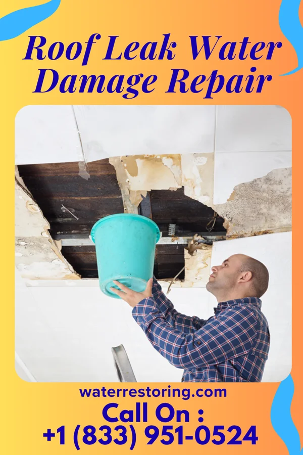 Roof Leak Water Damage Repair in Iberia, MO