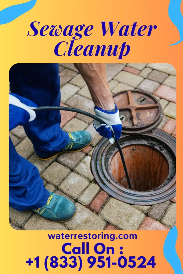 Sewage Water Cleanup in Iberia, MO